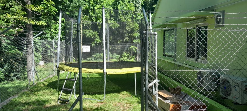 Projet Trampoline au SSRN